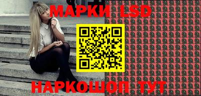 шишки Тара