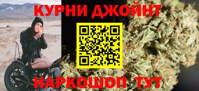 шишки Тара
