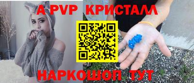 шишки Тара