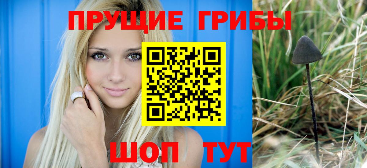 Псилоцибиновые грибы Psilocybe  Вход с VPN  Псилоцибиновые грибы мухоморы  Новочебоксарск 